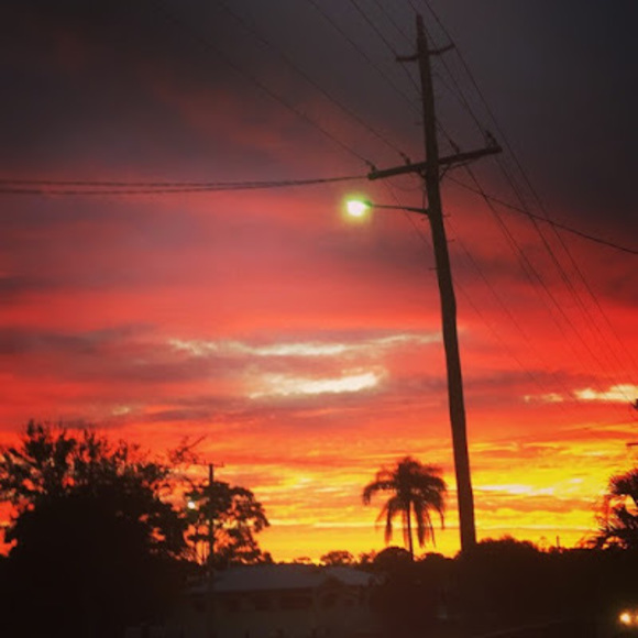 Meet your Posher, Grace - Picture 1 of 1